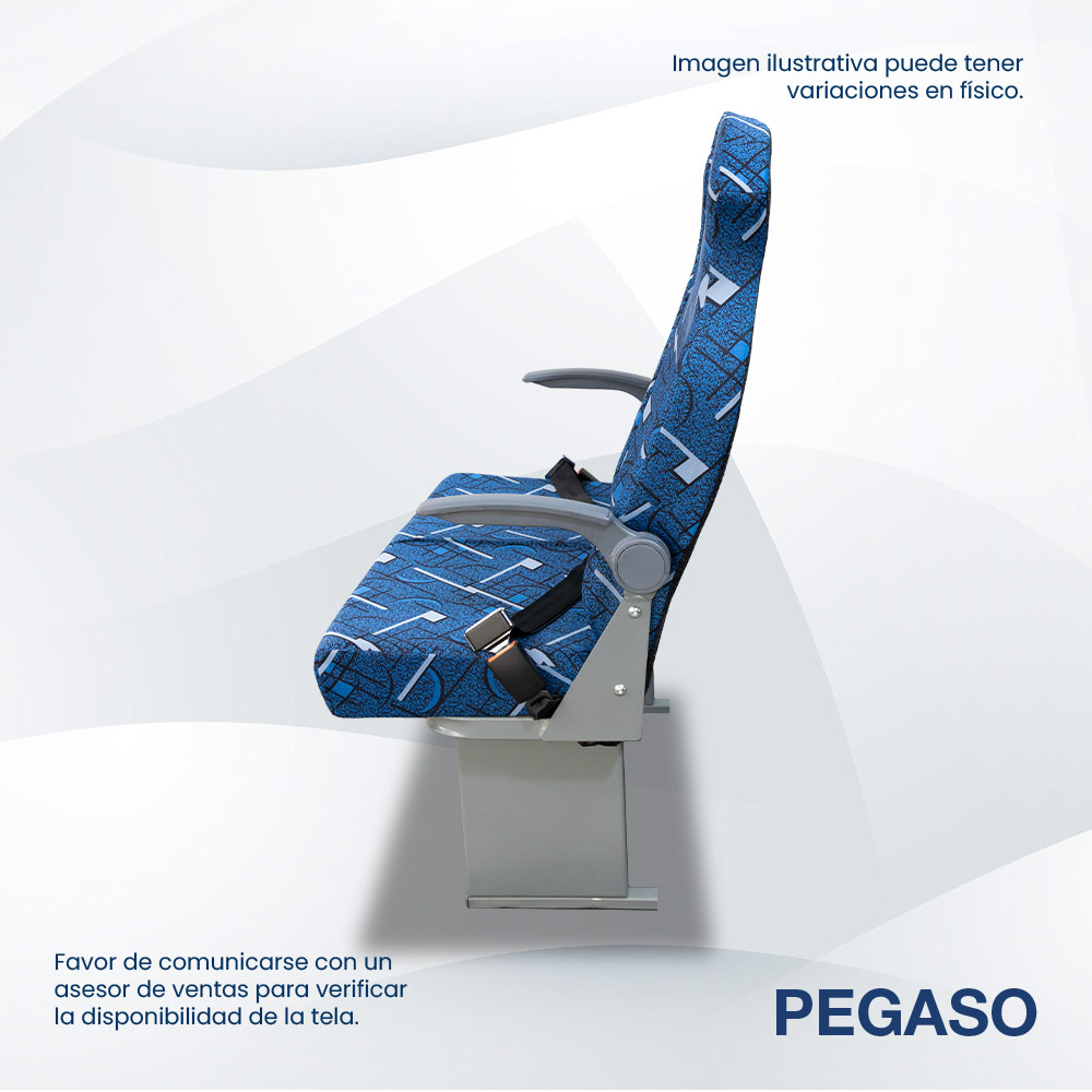 Asiento Pegaso